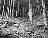 mam7-tmax100-24_04_13.jpg