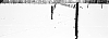 tmax100-334.jpg