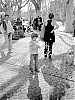 tmax400_28_02_2011-003.jpg