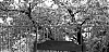 zeiss-tx100-001.jpg