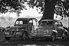 40DIMG_9652_Six_chevaux_a_l_ombre_des_chenes.jpg
