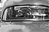 40DIMG_9898_Dauphine.jpg