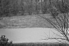 7DIMG_0215_Pluie.jpg