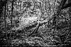 M4C50FS400_800x600-0002.jpg