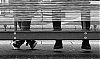 only_the_shoes_by_gerem-d502vpj.jpg