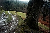 WEBphotos_-46-.jpg