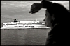 WEBphotos_-_Version_2.jpg