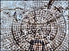 1-DSCF2414.jpg