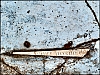 2-DSCF2407.jpg