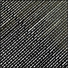 30-DSCF3725.JPG