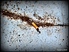 4-DSCF2412.jpg