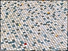 6-DSCF2408.jpg