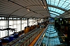 DSCF0684.jpg