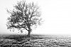 MATIN-2.JPG