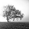 MATIN-3.JPG