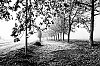 MATIN-4.JPG