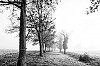 MATIN-5.JPG