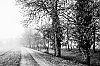 MATIN-6.JPG