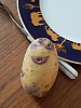 20170508_140249.jpg
