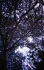 IMG_20150403_0015.jpg