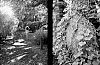 IMG_20150621_0016.jpg
