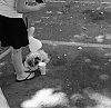 IMG_20150707_0002.jpg
