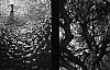 IMG_20150721_0040.jpg