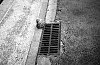 IMG_20151207_0012.jpg