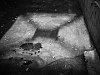 P1040946-Modifier-Modifier.jpg