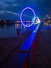 P1050067.jpg