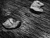 P3280469-Modifier.jpg