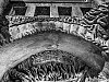 P5010026-Modifier.jpg