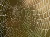 PB080038.jpg