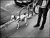 img895-Modifier-2.jpg