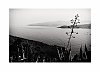 Port-Vendres_6.jpg